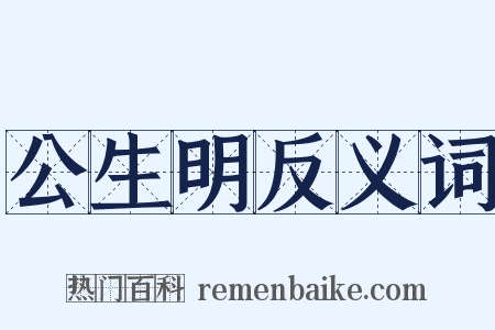 公生明反义词是什么意思的图片